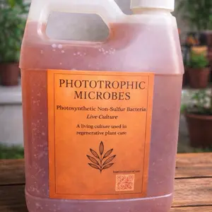 Plant Growth Stimulator - Phototropic Bacteria for Enhanced Plant Growth Organic Potting Soil