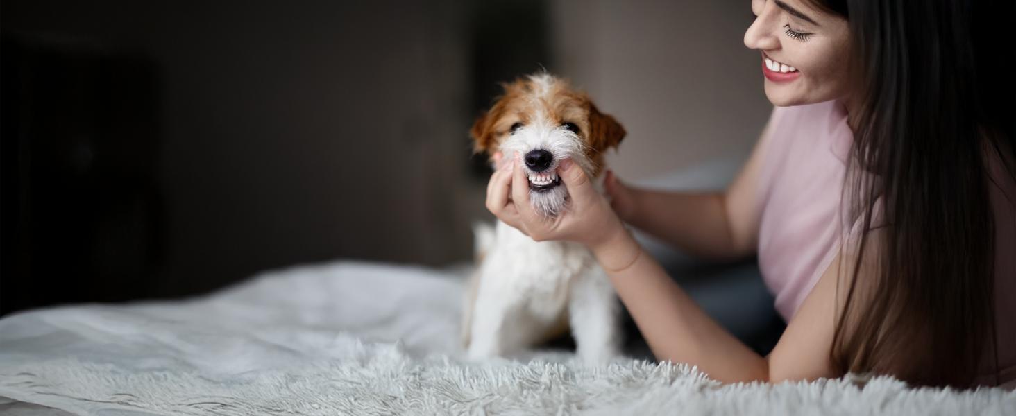 Vet’s Best Enzymatic Dog Toothpaste – Vet Formulated Dental Gel for Teeth Cleaning, Fresh Breath, Tartar Control, Plaque Remover & Oral Hygiene for Dogs, 3.5 oz