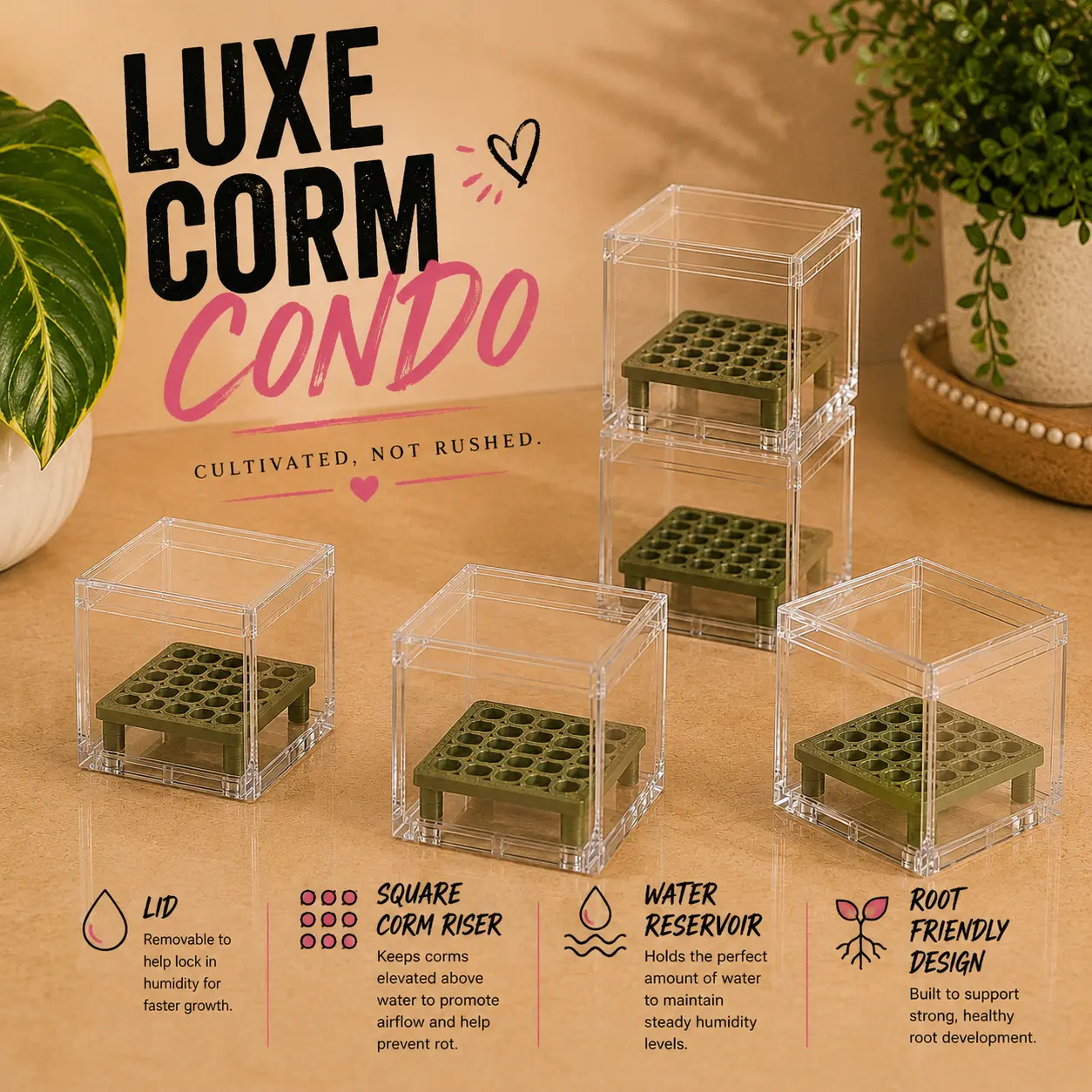 Silk 3D Printed Roomy Square Corm Risers & Updated Containers, 5/10 Pack, Alocasia Support with High Humidity Control, Stackable Shimmering Propagation Setup for More Corm Space
