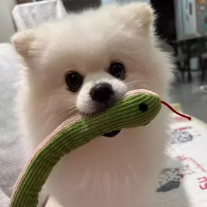 Plush toy snake for small dogs, relieves boredom and releases energy. Durable for head-shaking, chewing, and teething. Promotes human-pet interaction, perfect for small dog playtime.