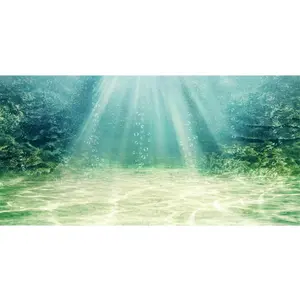 24x16 inches Aquarium Background Aquatic Plant Bubble Underwater Ocean Floor Fish Tank Background Durable Polyester Background