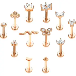 CASSIECA 12-Piece Unisex Geometric Stainless Steel Body Jewelry Set - 16G Internally Threaded Surgical Steel with Cartilage Earrings, Flat Back Nose Studs, Internal Thread Butterfly, Lip Rings, Monroe Rings for Tragus, Labret, Conch Piercings, Cartilage E