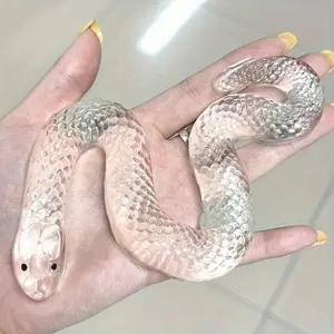 Transparent Snake Squishy Toy, Tpr Material, Mixed Color Design, Desktop Decoration, Easter Gift, School Prize, Fun and Smooth Texture