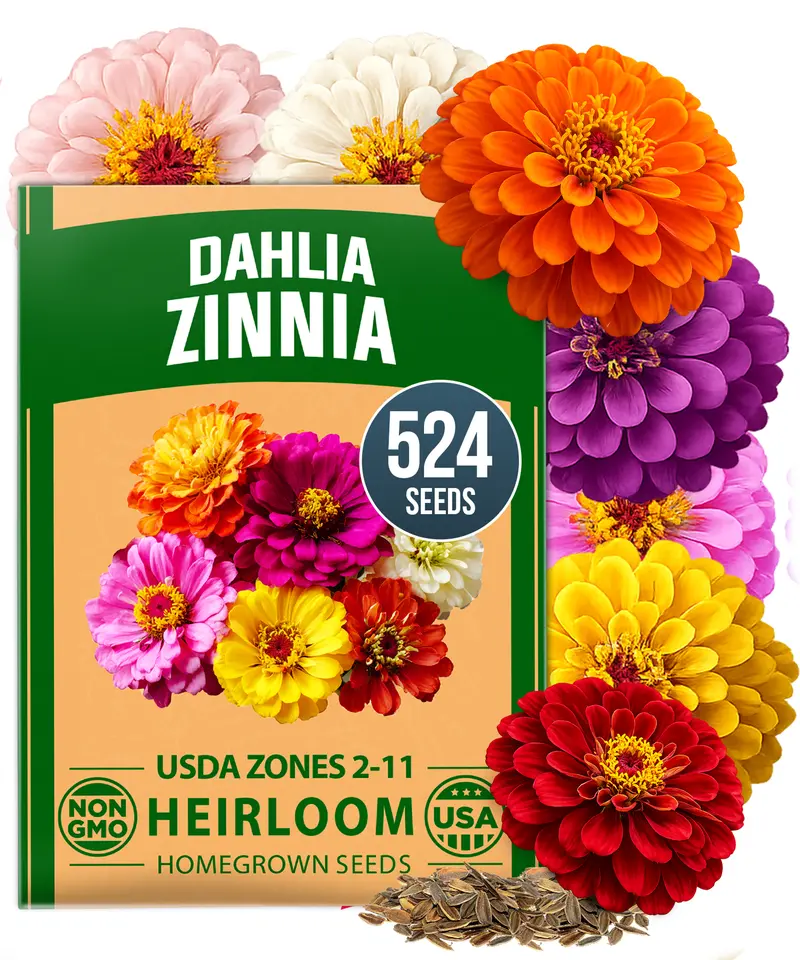 buy geranium seeds Geranium Seeds