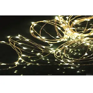 2-Pack 10-Ft USB Powered Indoor/Outdoor LED Copper Wire String Light