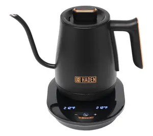 Electric Tea Kettle, Gooseneck Hot Water Boiler, 0.6L Teapot, Stainless Steel, 1200W, 360-Degree Base, Keep Warm Feature, Automatic Shut-Off