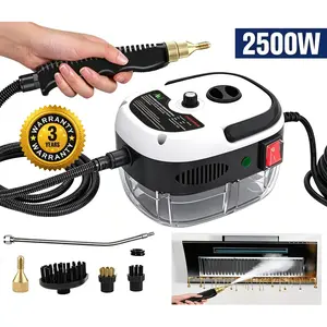 Portable Handheld Steam Cleaner 2500W, Instant Vaporization Hot Steam System, 30+ Mins Continuous Steam, Lightweight 1.6kg Design for Indoor Multi-Surface Cleaning