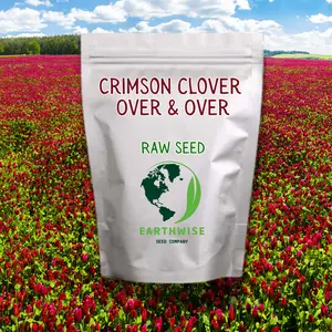 Crimson Clover (Trifolium Incarnatum) Over & Over Seeds - Clover Seeds Flowers, Drought-Tolerant Variety, Easy-to-Grow Option, Natural Fertilizer for Garden Planting, Drought-Tolerant Flowers