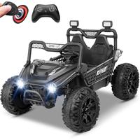 Black-110lbs Cap-24V-2Seater-3Y+