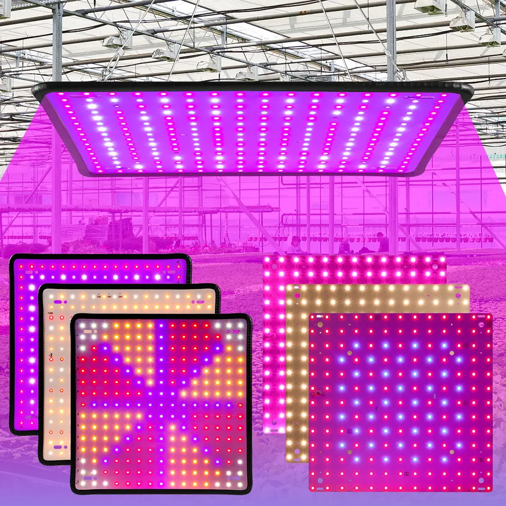 150W Quantum Board LED Grow Light with Hook AC100-277V Full Spectrum Green Plant Hydroponics System Fill Lamp 110V/220V Greenhouse Tent Growth Box UV IR Red Blue Sunlight Veg Fruit Seeding Blooming Potted Succulent Moss Cactus Cultivation Lighting US Plug