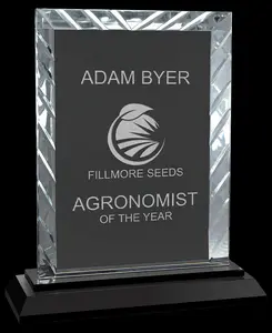 Custom Rectangle Accent Glass Award