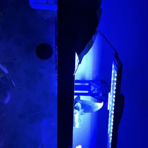 Craftsboys 4 Pcs Clear Acrylic Aquarium Plant Holder for Fish Tanks Top Hanging Planter with Hook Adjustable Cup for Semi Aquatic Plants