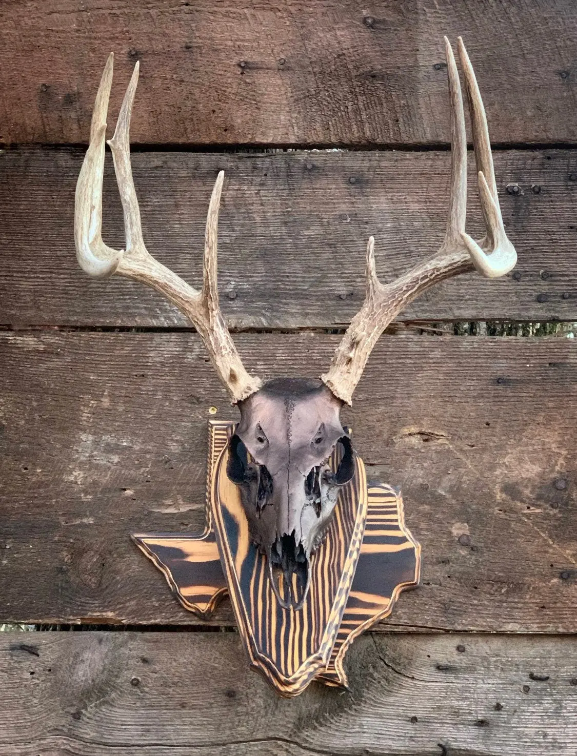 Texas Wall Pedestal