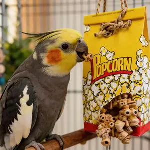 Parrot Party Chew Toy, Perfect Popcorn Style Design, Fun and Satisfying Chewing for Birds, Unique Theme for Bird Cages, Suitable for Small Parrots