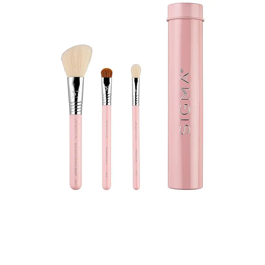 Sigma Beauty Essential Trio Brush Set in Pink Sigma Beauty Essential Trio Brush Set in Pink