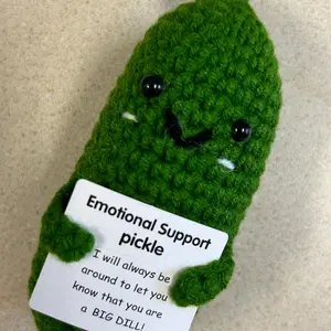 Handmade Crochet Pickles With Worm&Encouraging Quotes-Positive Pickles-Emotional Support Pickle