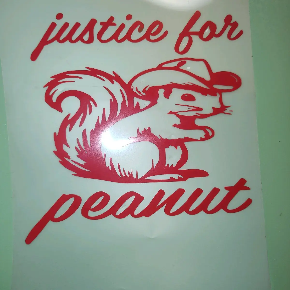 Peanut the Squirrel Car Truck Decal - Perfect for Any Vehicle