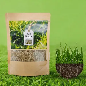 Grass Seed and Shade Grass, Grows quickly and withstands all seasons, perfect for high-quality turf and golf courses, High Germination Grass Seeds Grown in USA