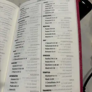 Pearlized Cherry Pink Faux Leather King James Version Gift Edition Bible (Font: 8-point) (No Bible Tabs)