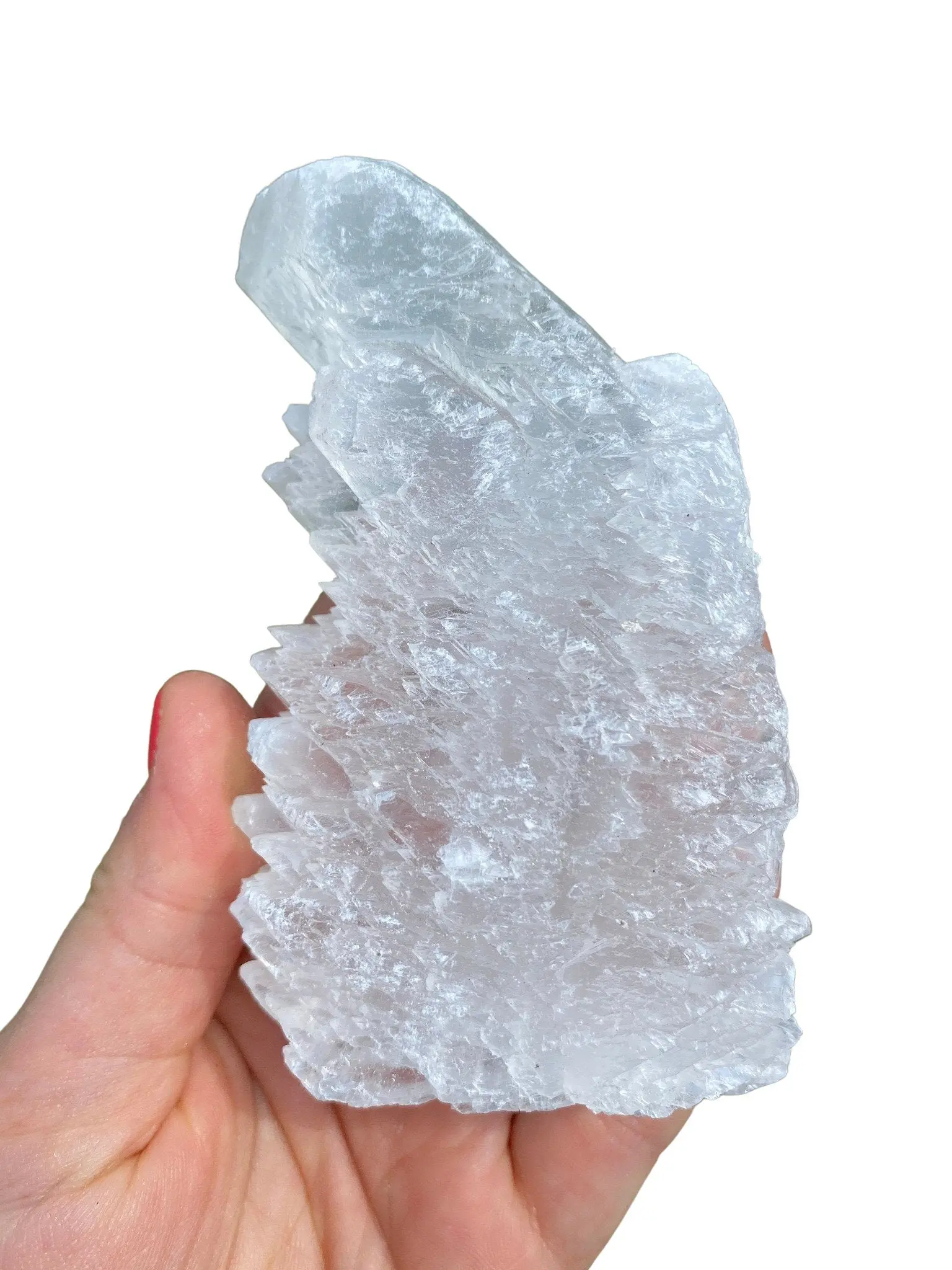 Raw Fishtail Selenite Cluster (1" - 7") - Raw Selenite Crystal Cluster from Durango, Mexico - Selenite Specimen