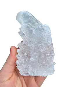 Raw Fishtail Selenite Cluster (1" - 7") - Raw Selenite Crystal Cluster from Durango, Mexico - Selenite Specimen