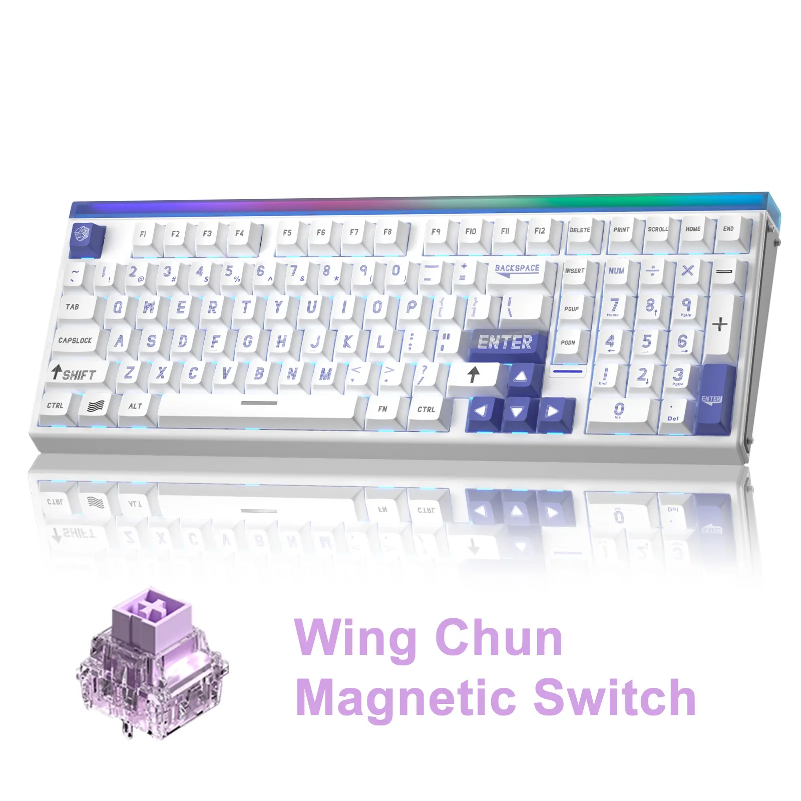 White Blue Wing Chun Magnetic Switch