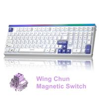 White Blue Wing Chun Magnetic Switch