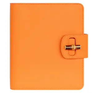 FranklinPlanner Celeste Leather Strap Binder