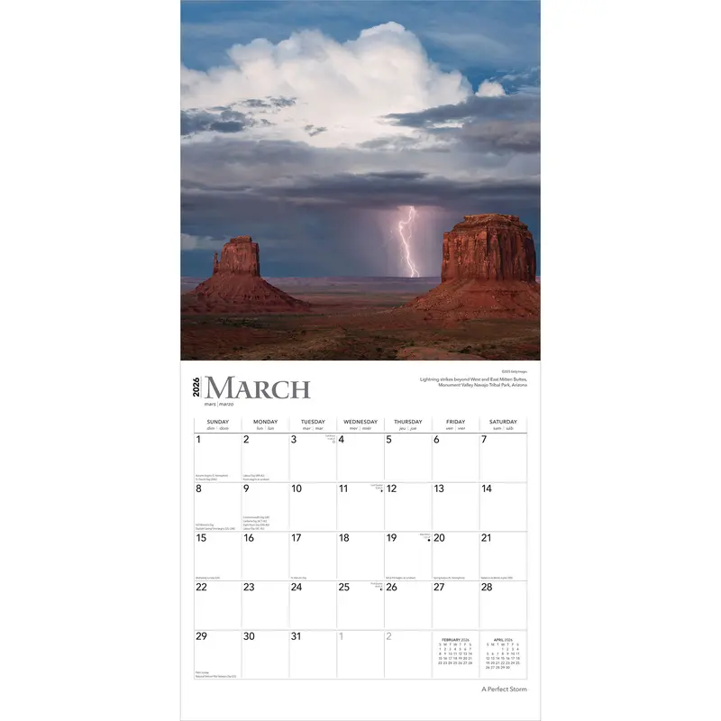 A Perfect Storm | 2026 12 x 24 Inch (Hanging) Monthly Square Wall Calendar | Foil Stamped Cover | Plastic-Free | BrownTrout | Worldwide Weather 2