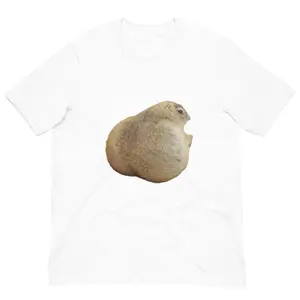 Ground Squirrel Sitting T Shirt