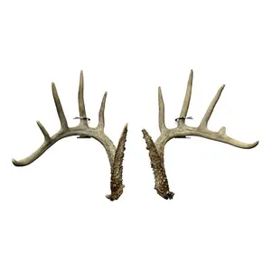 Shed Antler Anchor Set - Original Size