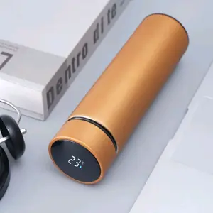 Smart Water Bottle