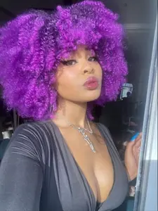 Afro Wig with Bangs for Black Women Short Curly Wigs 14 Inch Kinky Curly Wig Glueless Synthetic Curly Wavy Wig for Cosplay and Party