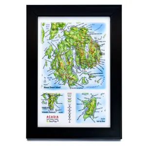 Acadia National Park 3D Raised Relief Map