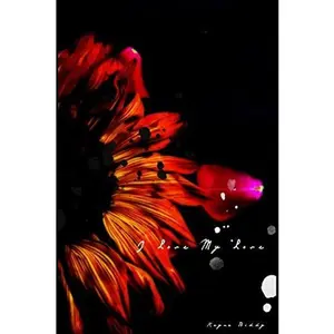 USED-I Love My Love by Reyna Mays (Paperback)