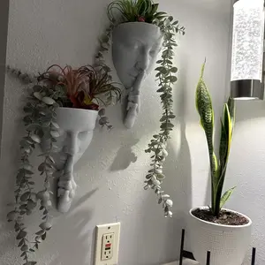 Face Art Wall Planter, Creative Greenery Decoration, Nordic-Style Wall-Mounted Flower Holder, Personalized Home Decor, Succulent Planter