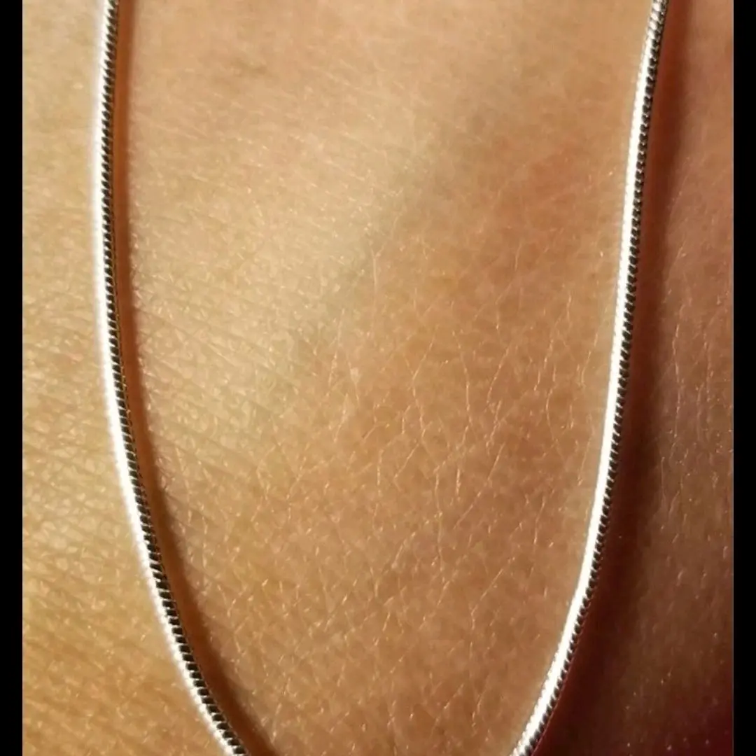 20" Sterling Silver Snake Necklace