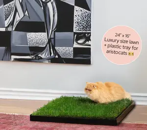 Kitty Lawn Luxury 24" x 16" All-Natural Real Hydroponic Grass Pad for Indoor & Outdoor Use