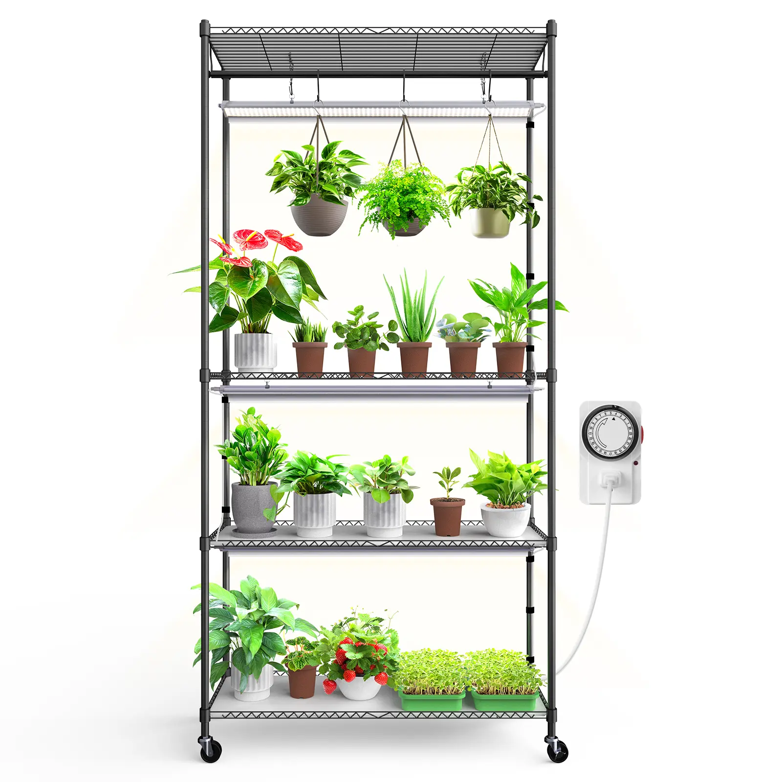 Barrina Plant Stand with Grow Light, 3FT T5 5000K 36W 3 Packs LED Full Spectrum Grow Lights and Display Rack, 4-Tier, Built-in Timer, 35.4x13.8x70.9IN
