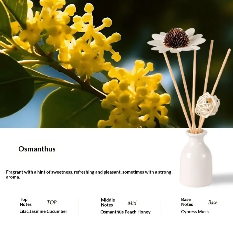 Osmanthus
