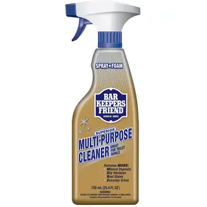 25.4 oz. More Spray and Foam All-Purpose Cleaner