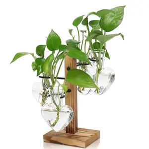 Heart/Diamond Shape Glass Hydroponic Vase Set – Includes 4 glass vases and one solid wood stand for plant propagation. Perfect for home and office decoration, and as a gift for Valentine's Day, friends, and plant lovers Clear