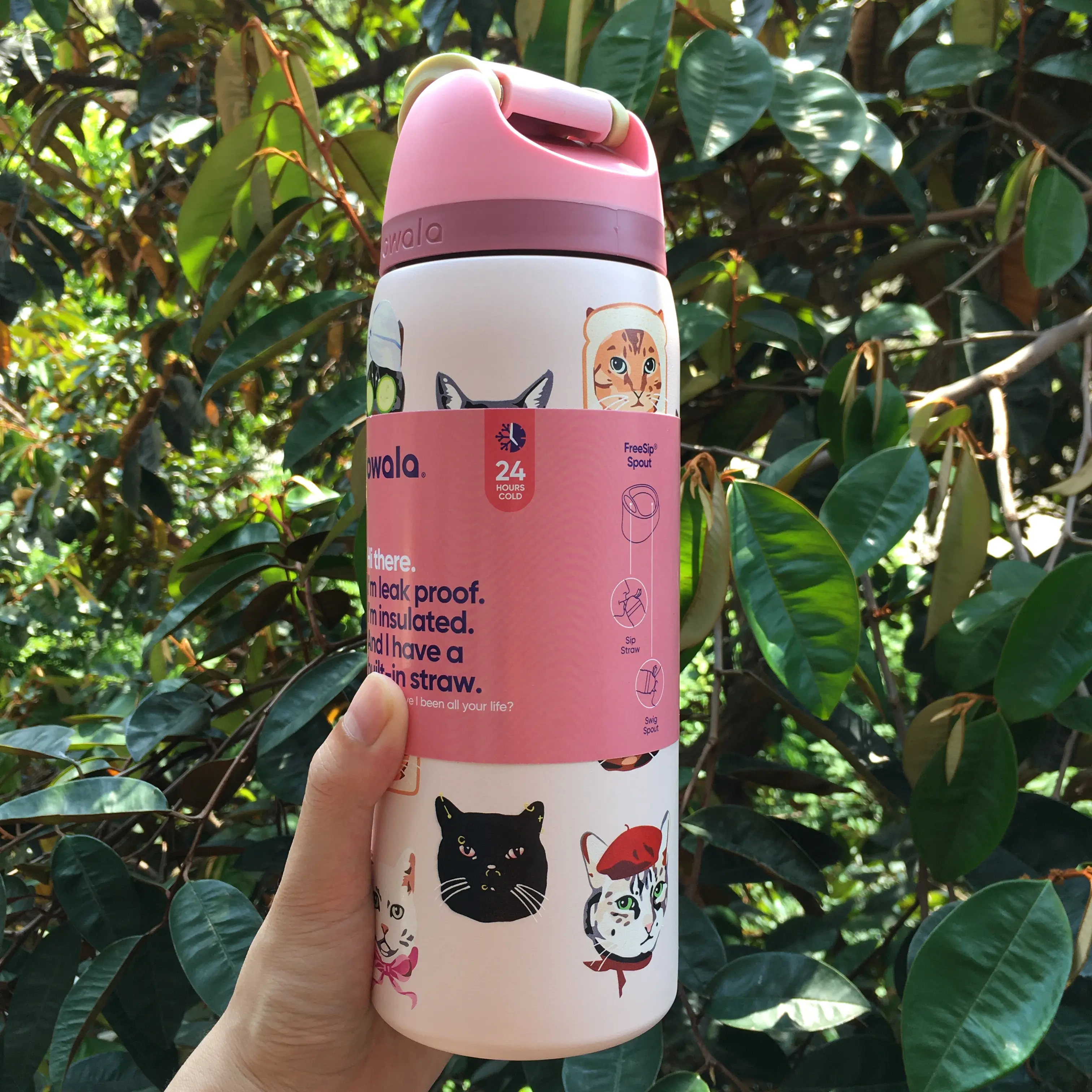 Owala Exclusive Cat Collage FreeSip 32oz Stainless Steel  Water Bottle Stylish Reusable Sports & Travel Drink Bottle