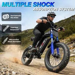 e-bike, peak power 1000W-2000W, 20-inch fat tire ZXC, 48V removable battery, top speed 30-34 mph, range 45-80 miles, full suspension, dual disc brakes, 7-speed all-terrain e-bike.