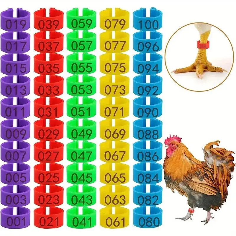 Random Color Chicken Leg Ring, 50pcs/set Colorful Number Identification Chicken Leg Marker Rings, Farm Animal & Poultry Supplies Tools