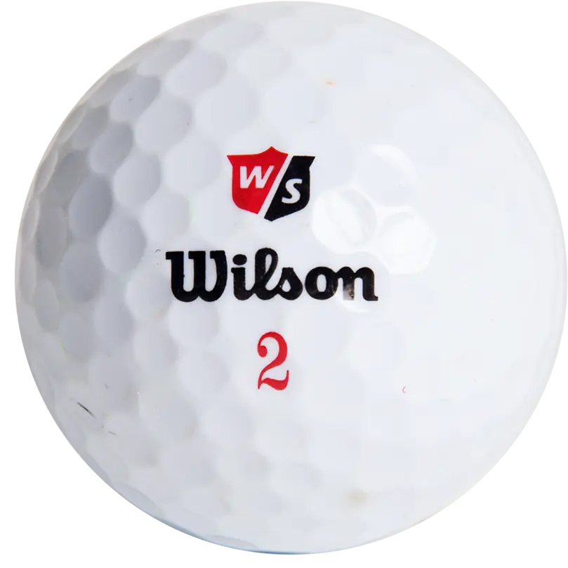 Clean Green Golf Balls - Wilson Staff Assorted Golf Ball Set, Mix Pack of 1 Dozen with Duo, Staff & Zip Models, Golf Pack