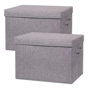 2 Pack Large Foldable Storage Box with Lids Fabric Storage Cube Organizer Cloth Containers Bins Baskets for Closet Clothes Clothing Bed Room