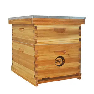 10 Frame Bee Hive, Compelte Bee Hive Starter Kit Includes 1 Deep Brood Honey Bee Hives Box,1 Medium Super Bee Box With Beehive Frames And Foundation Sheets