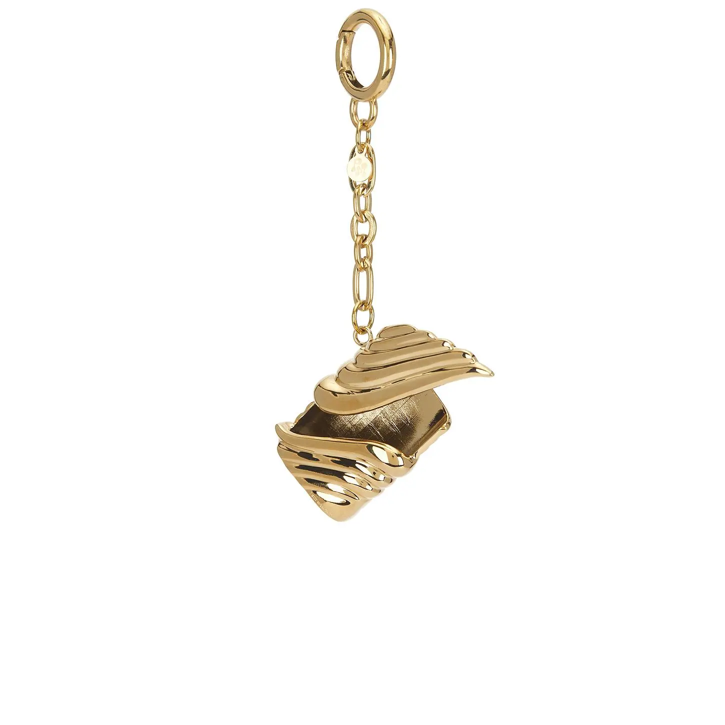 petit moments Gold Lighter Holder Keychain, Portable Keychains for Home Miscellaneous Accessories