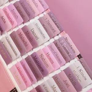 Laminated Bible Tabs (Pink & White) – 80 Gold Foil Embossed Tabs, Large Print, Easy to Apply, Bible Index Stickers for Women & Men